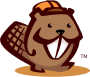 beaver